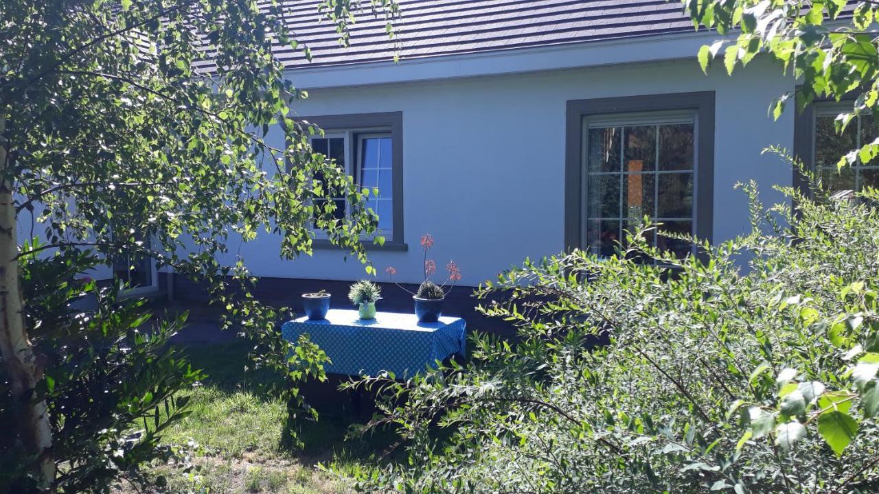 B&B De Tulp Retie Exteriér fotografie